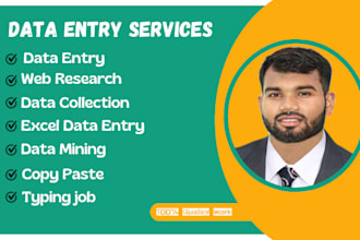 do data entry and copy paste job