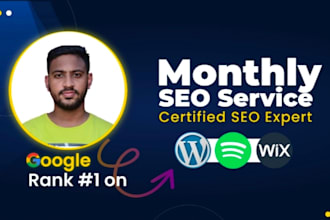 provide monthly SEO service with quality backlinks