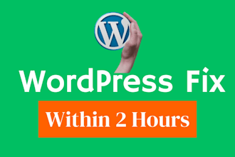 fix your wordpress website issue
