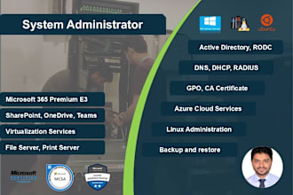 be your server administrator and office 365 support engineer