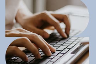 provide high quality article writing services