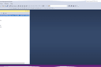 do sql queries, database projects, er diagrams for you
