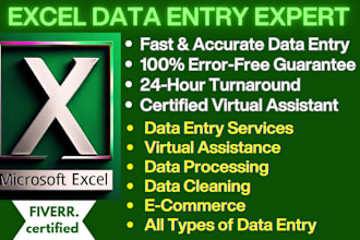 do expert excel spreadsheet data entry services, virtual data entry assistant