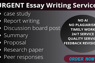 write gender studies, human rights essays, social justice, racism and feminism
