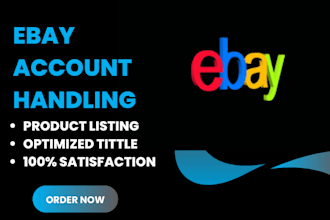 do ebay listing,ebay lister, amazon to ebay dropshipping top listings