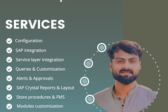 be your sap business one consultant and sap developer