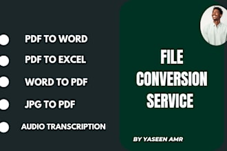 do any file conversion and audio transcription service