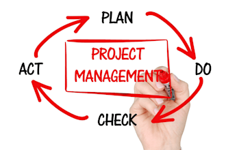 do all tasks on project management professionally