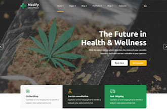design cannabis website marijuana website cbd website dispensary website