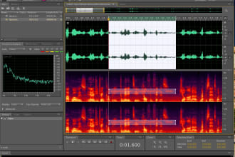 edit, remove noise and balance your Audio file