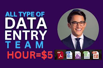 excel, data entry, with team, web research, data collection, copy paste