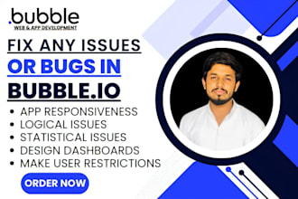 fix any issues or bugs in your bubble io app or website