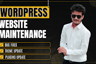 provide maintenance and support for your wordpress website