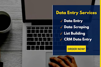 do excel data entry, typing, web scraping, copy paste, ms excel data entry, VA