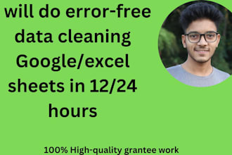 do your excel or google sheets data cleaning in 12 hours