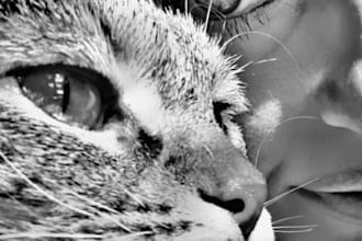 be your pet sitting for cats in milan and  monza italy