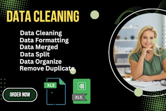 clean, format, merge, and split excel data
