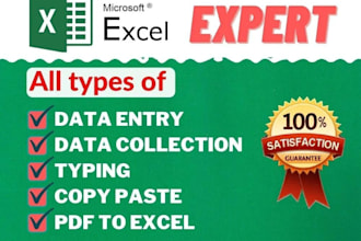 ms word, excel and PDF conversion expert