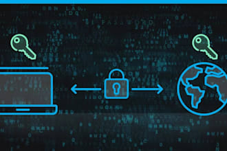provide emergency server support,including issue resolution