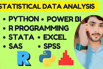 do statistical data analysis, r coding, spss, stata, excel, python programming