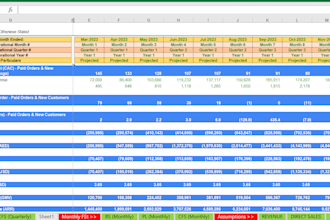 prepare business plans, capital structure, valuations