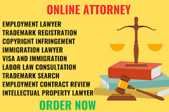 be your lawyer and consultant for trademark, copyright, immigration, employment