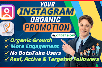 provide fast and effective organic instagram growth to increase follower