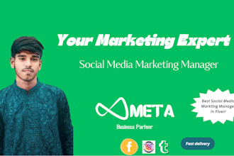 handle facebook and instagram ads to boost leads and sales