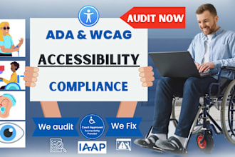 perform advanced web accessibility testing and wcag audits