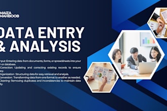 do data entry, conversions and analysis