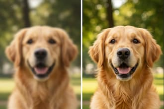 enhance photos with pro color grading and blur fixing for stunning visuals