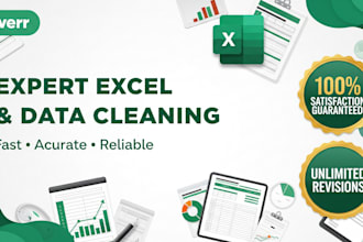 do data cleaning, formatting, and duplicate removal in excel
