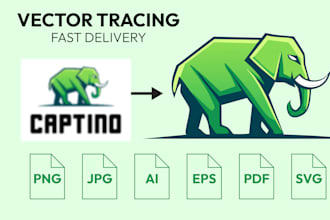 redraw, improve, refine logo, and png to vector