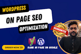 be best your  perfect wordpress on page seo optimization service expert