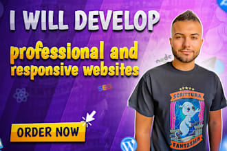 develop a professional and responsive websites