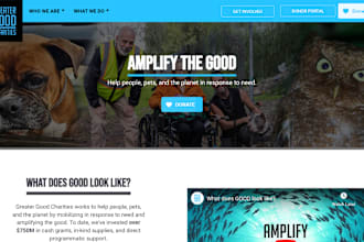 do non profit, ngo, charity, fundraising, donation website on wix, squarespace
