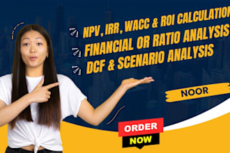 do npv, irr, wacc, ROI, dcf analysis and financial or ratio analysis