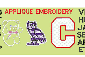 do applique embroidery digitizing into dst, pes, emb, jef file in 1 hr