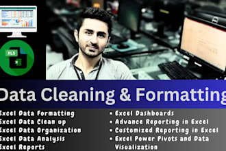 clean, format, merge, split, filter, analyze excel data