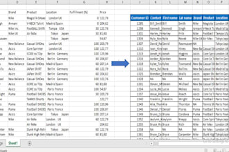 do excel data cleaning, formatting and custom charts