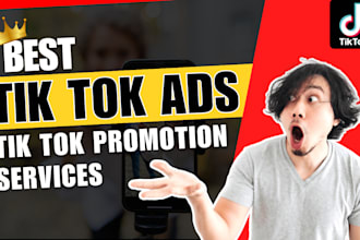 run and manage tik tok ads, ads campaigns, tik tok promotion, and marketing