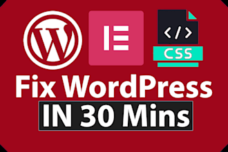 fix wordpress problems, issues, bugs, and errors in 30 min