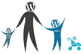 fix bugs on wordpress website