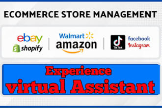 be your walmart ebay tiktok shop shopify dropshipping expert