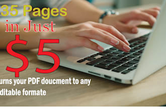 typing, retype scanned documents, PDF conversion in 24 hours