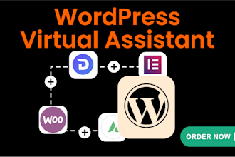 pro wordpress virtual assistant data entry and content management