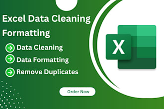 do excel data cleaning and formatting