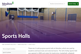 design basketball and volleyball landing page and website