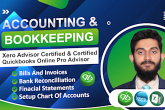 provide expert bookkeeping in quickbooks, xero, odoo, wave