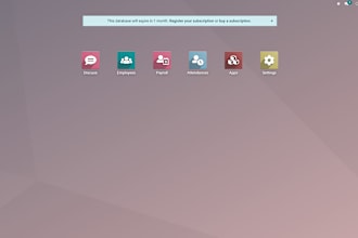be your odoo developer
